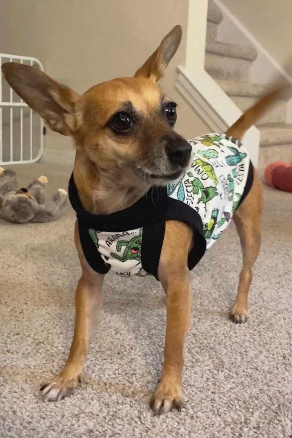 Dramatic Cacti Dog Pajamas