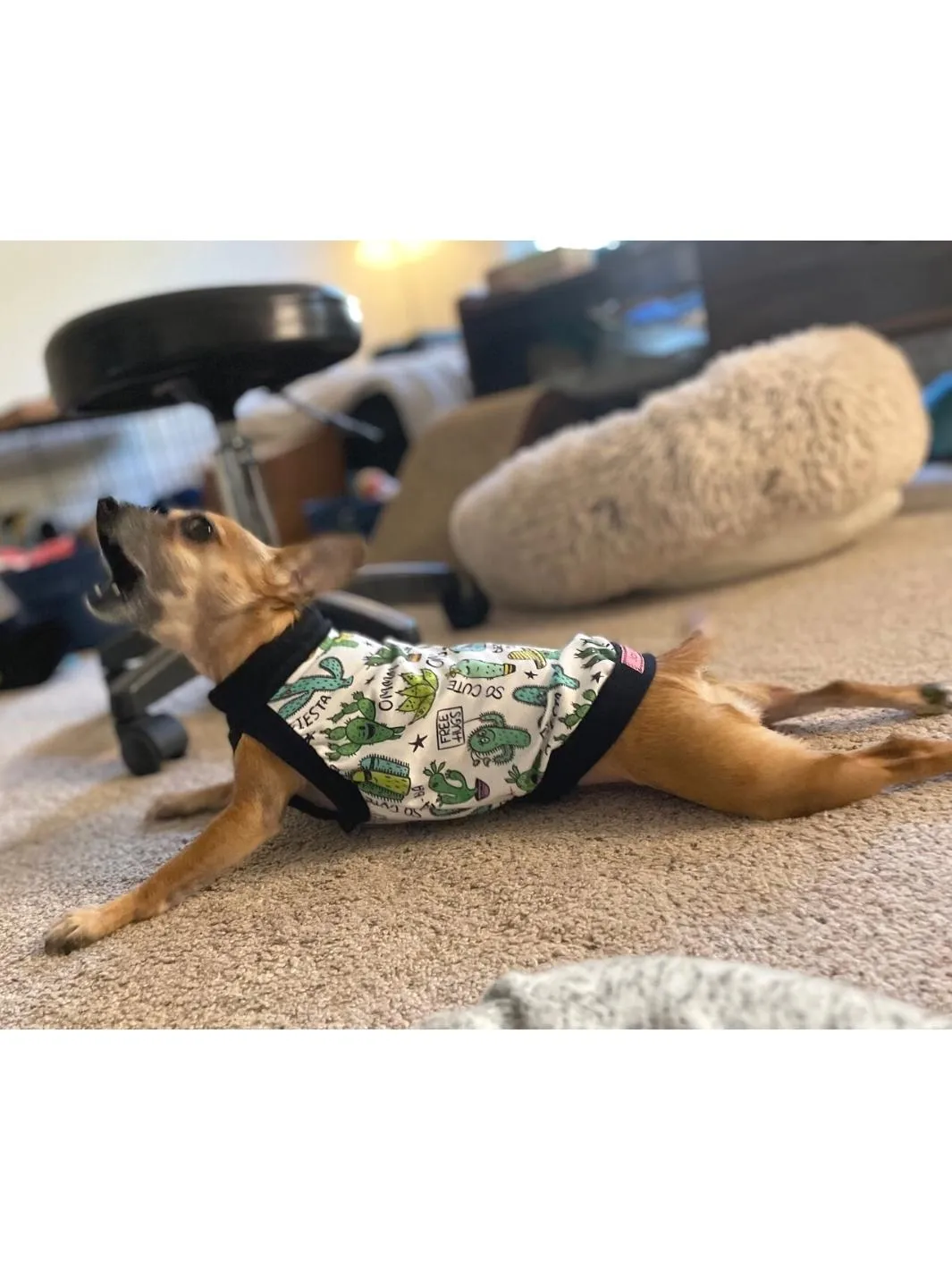 Dramatic Cacti Dog Pajamas
