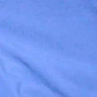 "A Solid Color" Women's (Swim) Board Shorts - Regular Rise / 5" Inseam (Baby Blue)